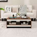 Birger - Wood Coffee Table with Storage - Grella Boutique